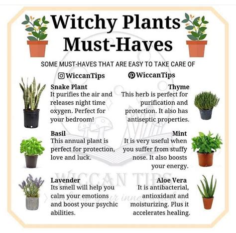 Wiccan protective plants